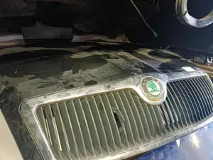 Foto de CAPO SKODA OCTAVIA BERLINA (1Z3)