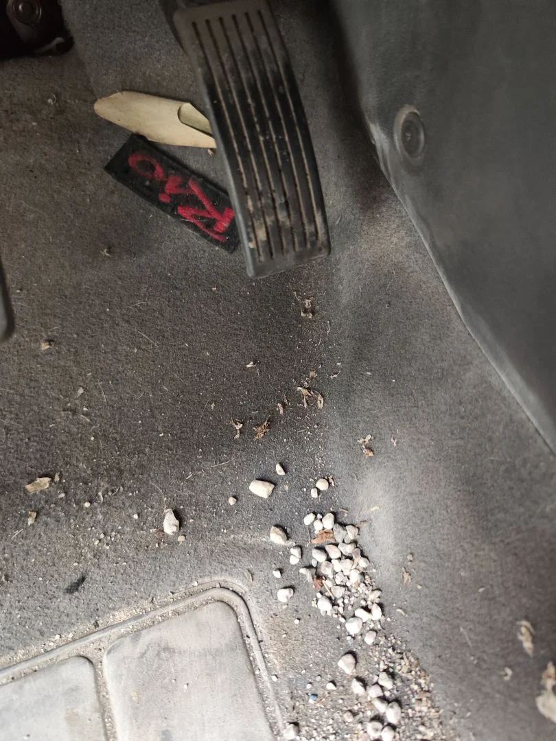 Foto de POTENCIOMETRO PEDAL KIA RIO (JB) 1.5 CRDi (110 CV / 81 KW)