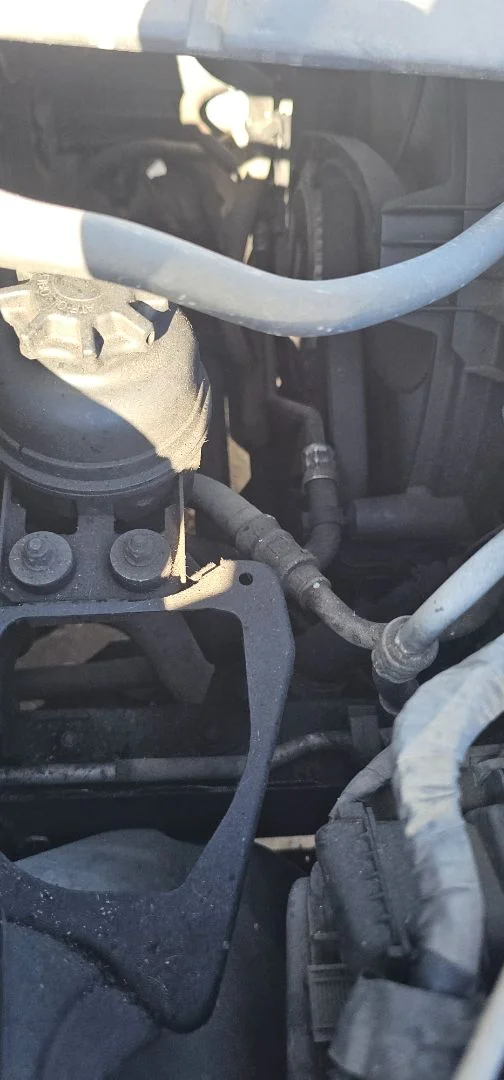 Foto de CLAXON BMW SERIE 3 BERLINA (E90) 2.0 CAT (129 CV / 95 KW)