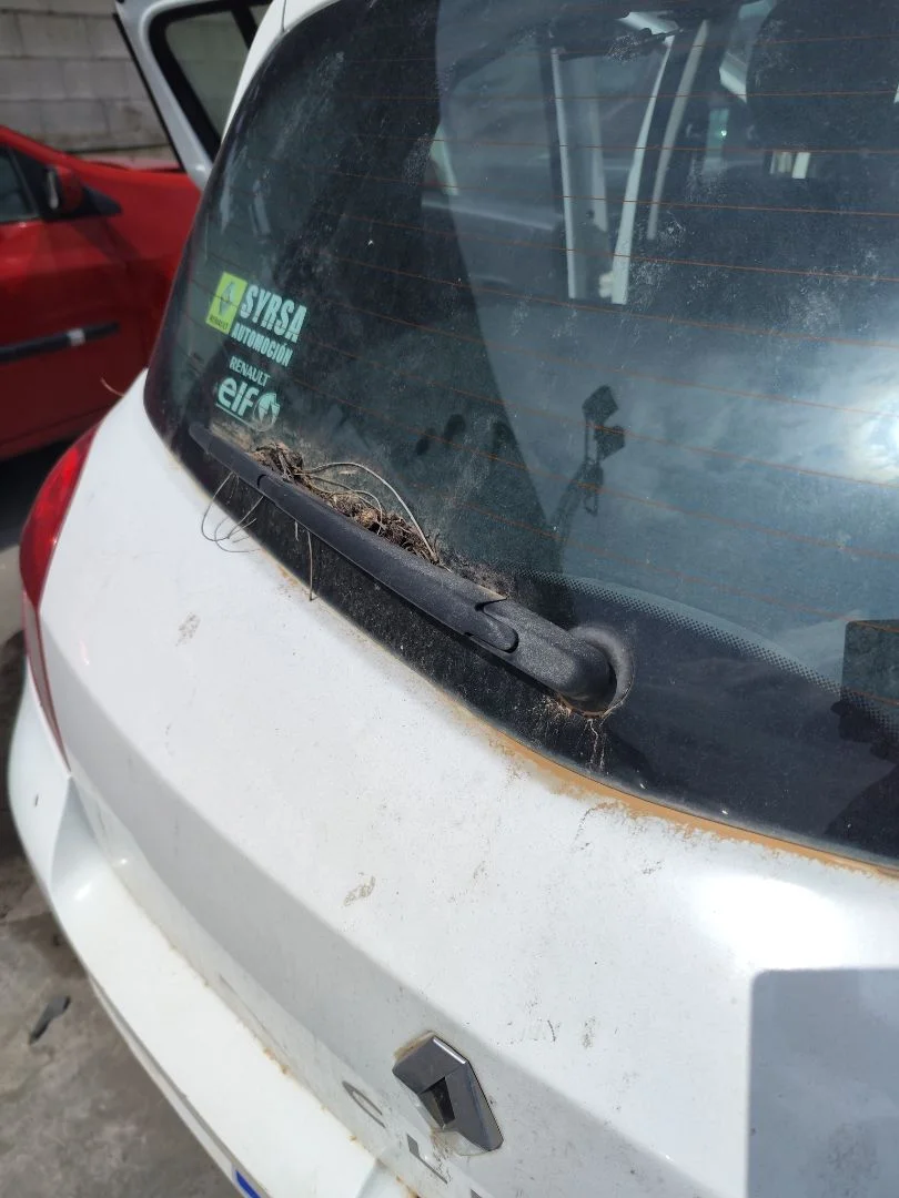 Foto de BRAZO LIMPIA TRASERO RENAULT CLIO III 1.2 16V (75 CV / 55 KW)