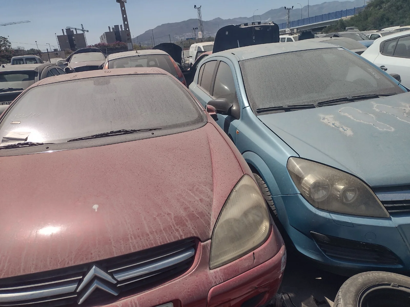 Foto de BARRA ESTABILIZADORA DELANTERA OPEL ASTRA H BERLINA 1.6 16V (105 CV / 77 KW) referencia 13173541