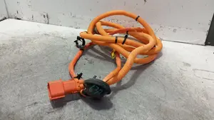 Foto de CABLEADO ELECTRICO MG HS 1.5 Turbo (161 CV / 119 KW) foto 2