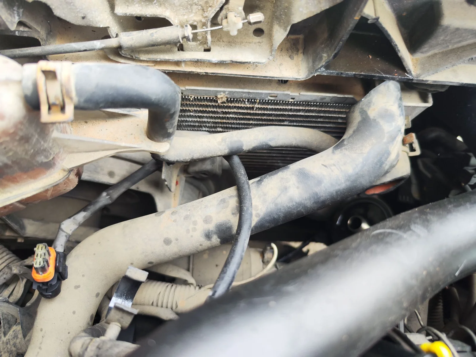Foto de RADIADOR AGUA RENAULT CLIO III 1.5 dCi Diesel CAT (86 CV / 63 KW)