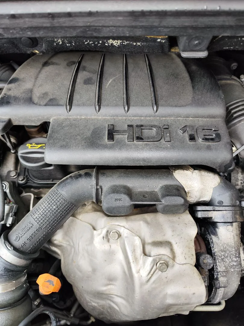 Foto de TAPA MOTOR PEUGEOT 5008 1.6 HDi FAP CAT (9HZ / DV6TED4) (109 CV / 80 KW)