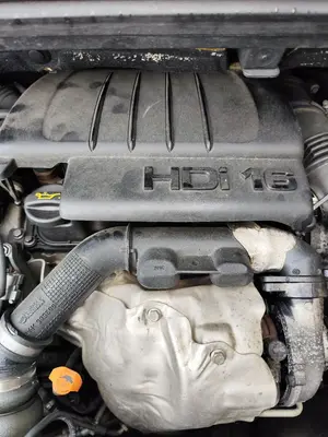 Foto de TAPA MOTOR PEUGEOT 5008 1.6 HDi FAP CAT (9HZ / DV6TED4) (109 CV / 80 KW)