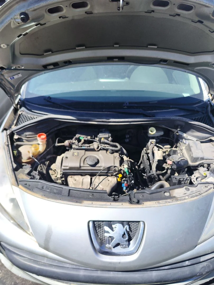 Foto de TORPEDO PEUGEOT 207 1.4 (73 CV / 54 KW)