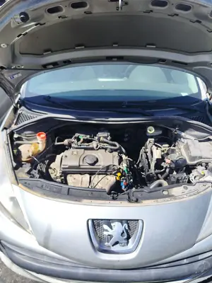 Foto de TORPEDO PEUGEOT 207 1.4  (73 CV / 54 KW)