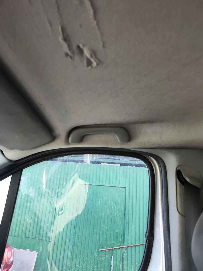Foto de ASIDERO TECHO DELANTERO DERECHO OPEL VIVARO FURGÓN/COMBI 2.0 16V CDTI (114 CV / 84 KW)