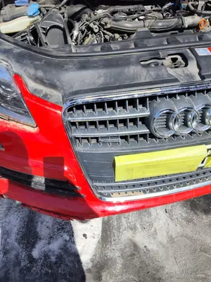 Foto de REJILLA DELANTERA AUDI Q7 (4L) 3.0 V6 24V TDI (233 CV / 171 KW) foto 4