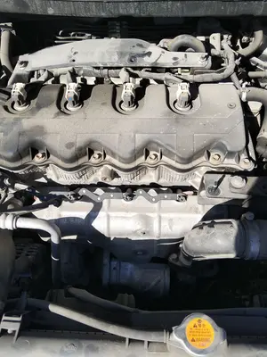 Foto de MOTOR ARRANQUE NISSAN ALMERA TINO (V10M) 1.8 16V CAT (114 CV / 84 KW) referencia 233009F66B