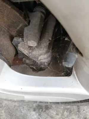 Foto de PINZA DE FRENO TRASERA DERECHA SEAT ALTEA (5P1) 1.9 TDI (105 CV / 77 KW) referencia 1K0615424J