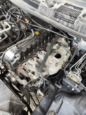 Foto de DESPIECE MOTOR JEEP GRAND CHEROKEE (WJ/WG) 4.0 CAT (190 CV / 140 KW)