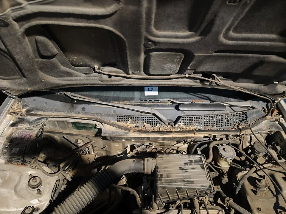 Foto de MOTOR LIMPIA DELANTERO HONDA CIVIC COUPÉ (EJ6/8) 1.6 CAT (105 CV / 77 KW) referencia 76530S04G01