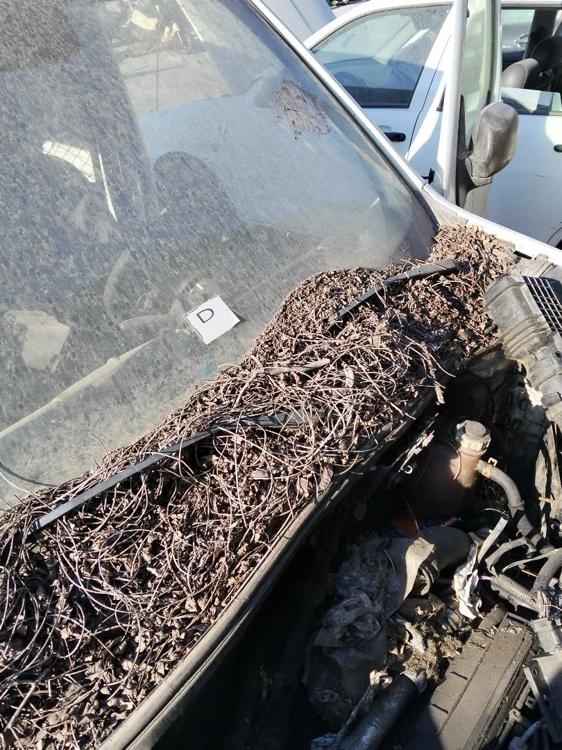 Foto de ARTICULACION LIMPIA DELANTERA RENAULT KANGOO I (F/KC0) 1.5 dCi Diesel (82 CV / 60 KW)