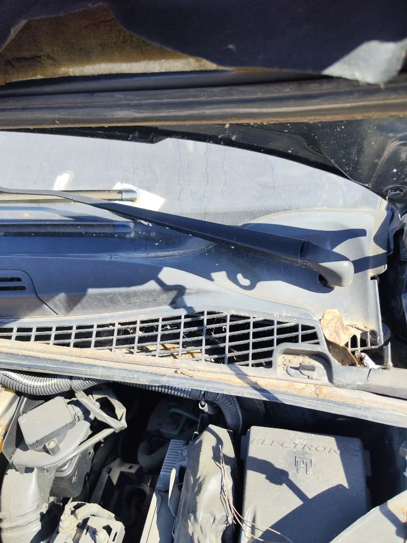 Foto de MOTOR LIMPIA DELANTERO CITROEN XSARA PICASSO 1.6 HDi CAT (9HY / DV6TED4) (109 CV / 80 KW)