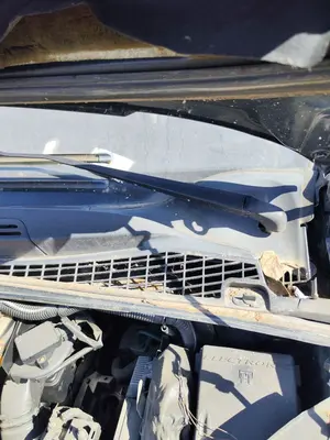 Foto de MOTOR LIMPIA DELANTERO CITROEN XSARA PICASSO 1.6 HDi CAT (9HY / DV6TED4) (109 CV / 80 KW)