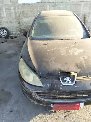 Foto de CAPO PEUGEOT 407 1.6 HDi FAP CAT (9HZ / DV6TED4) (109 CV / 80 KW) referencia 7901K7 foto 3