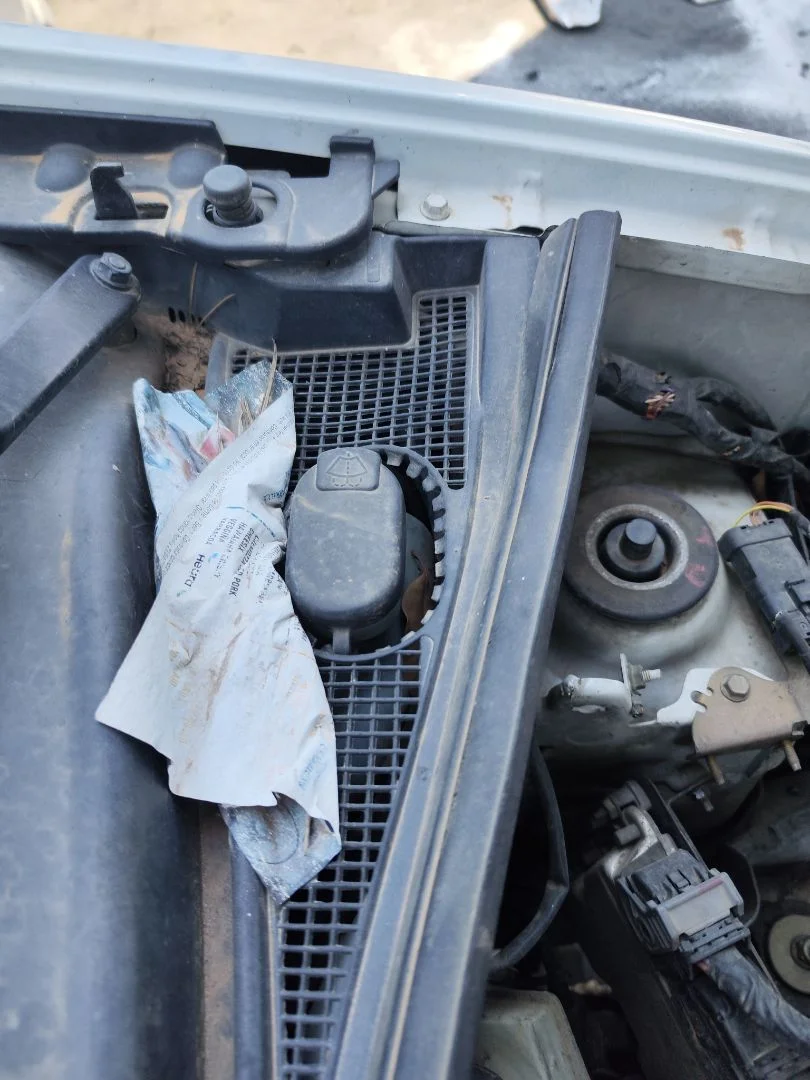 Foto de DEPOSITO LIMPIA RENAULT KANGOO I (F/KC0) 1.9 dCi Diesel CAT (84 CV / 62 KW) referencia 7700308814