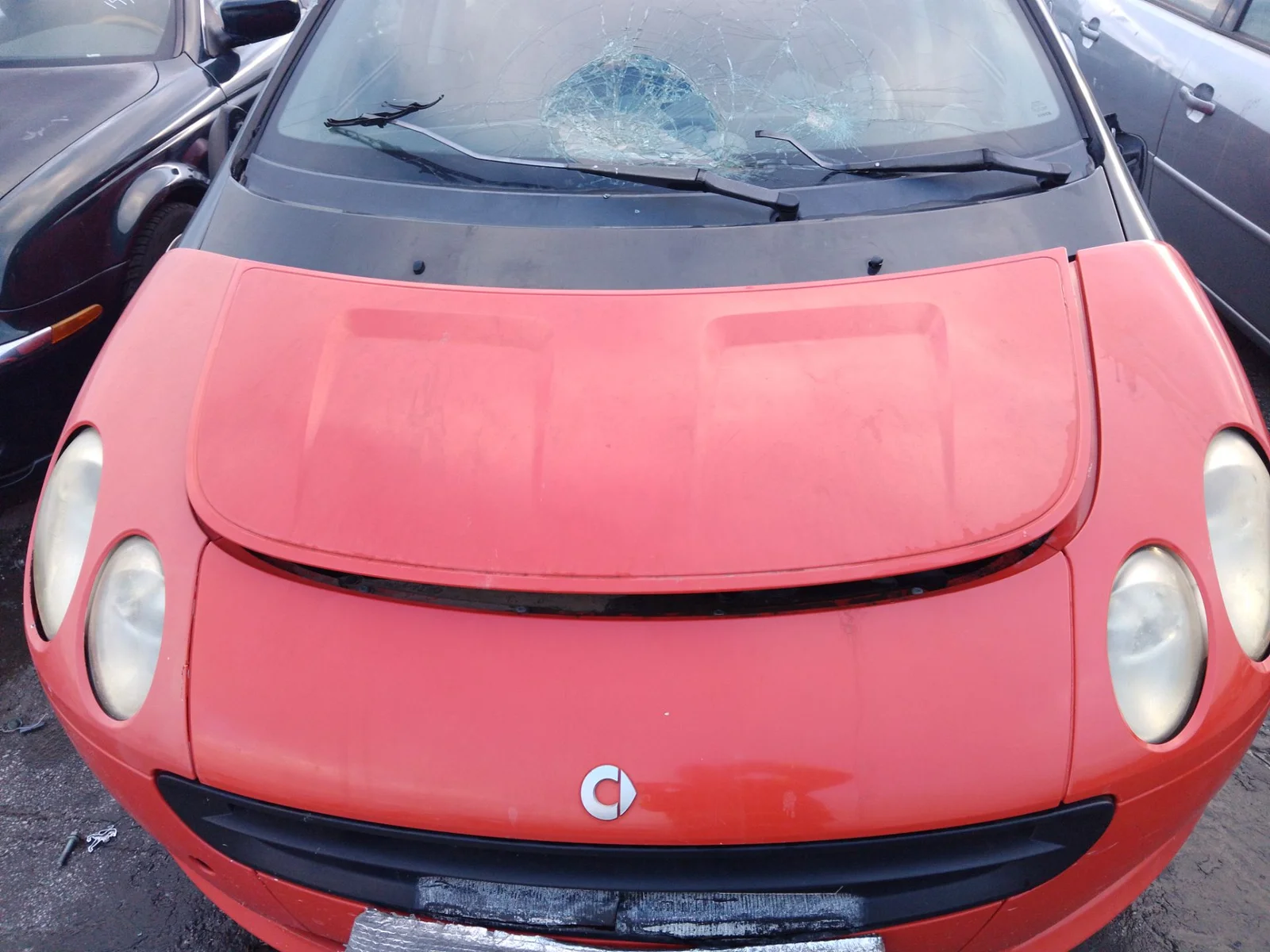 Foto de CAPO SMART FORFOUR 1.5 CDI CAT (68 CV / 50 KW)