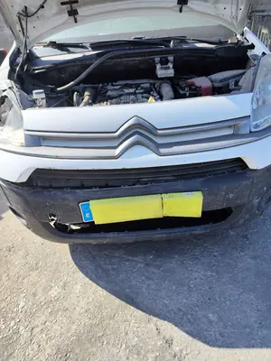Foto de REJILLA DELANTERA CITROEN BERLINGO FURGÓN 1.6 16V HDi FAP (75 CV / 55 KW)