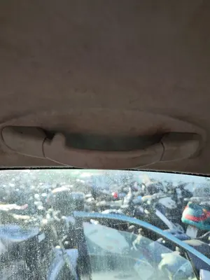 Foto de ASIDERO TECHO TRASERO DERECHO CITROEN C3 1.4  (73 CV / 54 KW)