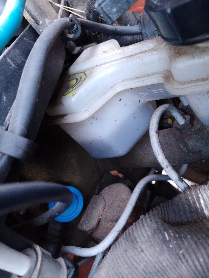 Foto de SERVOFRENO FIAT SEICENTO (187) 0.9 CAT (39 CV / 29 KW) referencia 0007744077