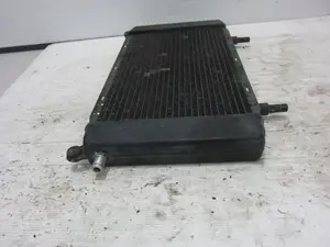 Foto de RADIADOR AGUA JAGUAR XJ 4.0 CAT (320 CV / 235 KW) referencia CCC5918 foto 5
