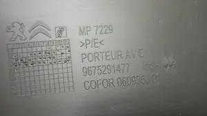 Foto de GUARNECIDO PUERTA DELANTERA DERECHA CITROEN C-ELYSÉE 1.6 HDi FAP (92 CV / 68 KW) referencia 9675291477 foto 2