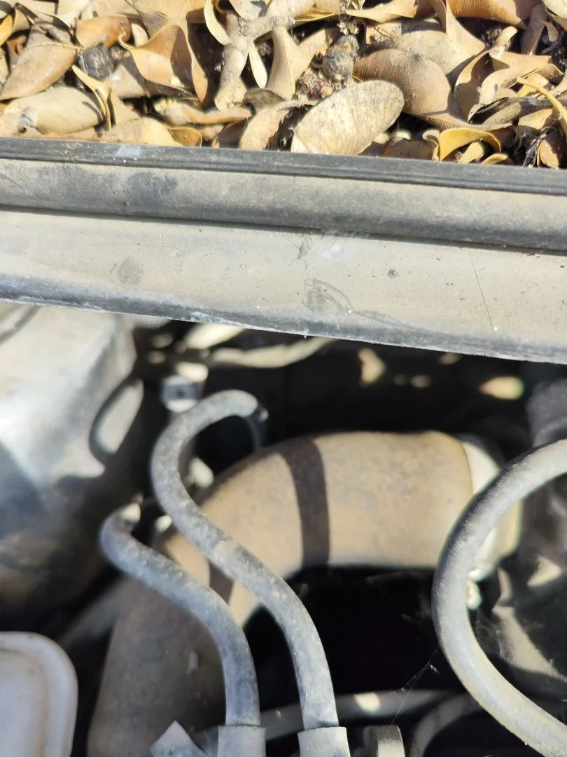 Foto de CAJA RELES / FUSIBLES FORD FOCUS BERLINA (CAP) 1.8 TDCi Turbodiesel CAT (116 CV / 85 KW)