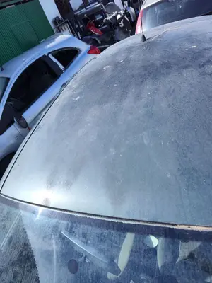 Foto de TECHO SEAT IBIZA (6L1) 1.9 TDI (101 CV / 74 KW) referencia 6L6817111F foto 3