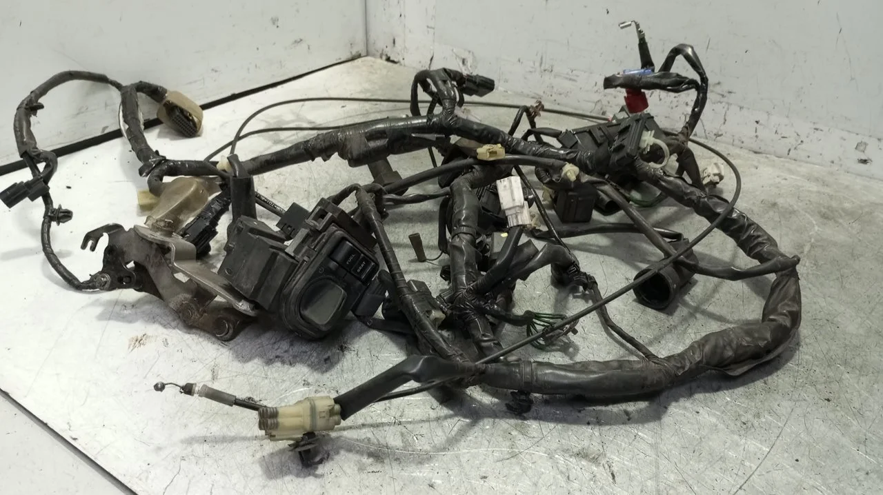 Foto de CABLEADO ELECTRICO HONDA FORZA NSS 125 125 cm3 - 11 kW (15 CV / 11 KW) referencia 32100-K40-F600