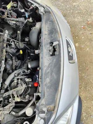 Foto de PANEL FRONTAL PEUGEOT 307 BREAK/ SW (S2) 2.0 16V HDi FAP CAT (RHR / DW10BTED4) (136 CV / 100 KW)