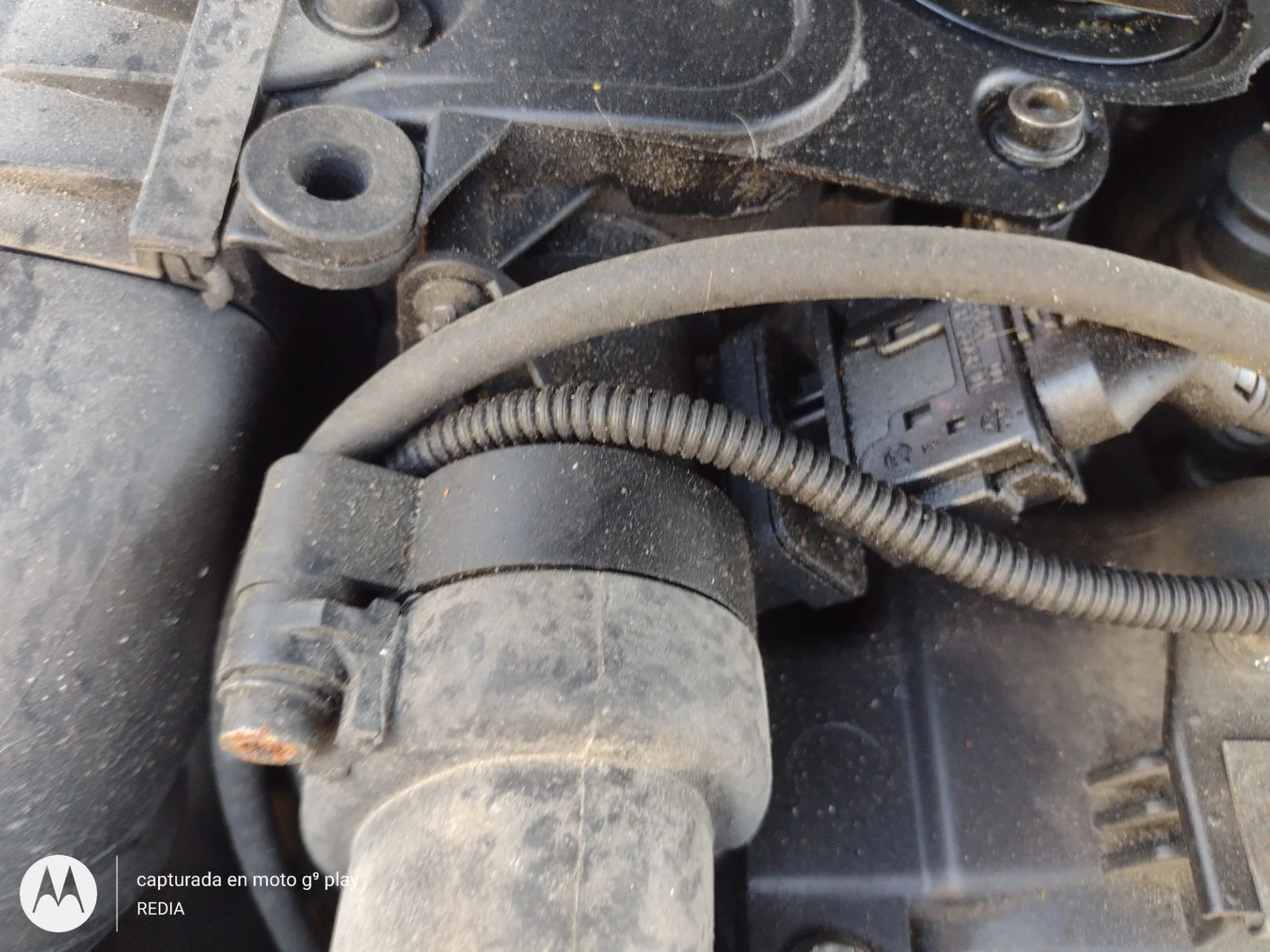 Foto de CAUDALIMETRO BMW SERIE 5 BERLINA (E60) 3.0 Turbodiesel CAT (218 CV / 160 KW)