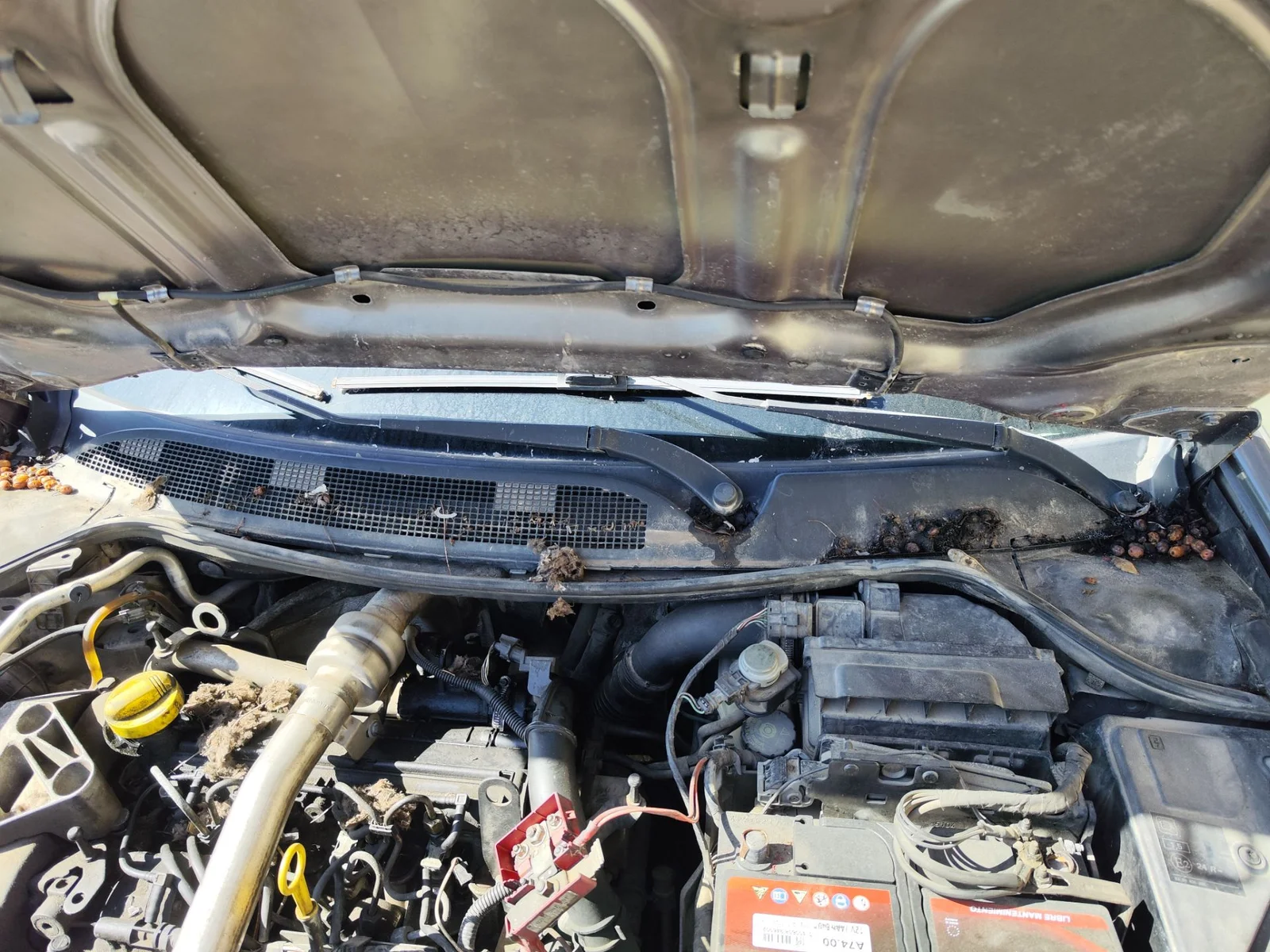 Foto de TORPEDO RENAULT MEGANE II BERLINA 5P 1.5 dCi Diesel (101 CV / 74 KW) referencia 8200097006