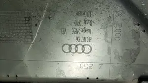 Foto de GUARNECIDO PUERTA TRASERA DERECHA AUDI A4 BERLINA (8E) 2.0 16V TDI (170 CV / 125 KW) referencia 8E0867306 foto 2