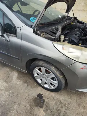 Foto de ALETA DELANTERA DERECHA PEUGEOT 207 CC CABRIO-COUPÉ 1.6 16V (120 CV / 88 KW)