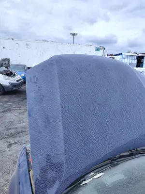 Foto de CAPO VOLKSWAGEN PASSAT BERLINA (3B3) 1.9 TDI (131 CV / 96 KW) referencia 3B0823031K foto 5