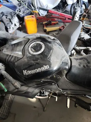 Foto de CARENADO KAWASAKI ZZR 1400 1441 cm3 - 147.2 kW (0 CV / 0 KW) foto 5