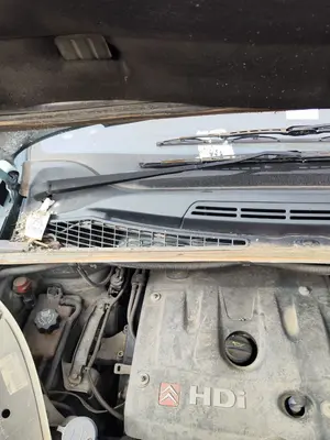 Foto de BRAZO LIMPIA DELANTERO DERECHO CITROEN XSARA PICASSO 2.0 HDi CAT (RHY / DW10TD) (90 CV / 66 KW)