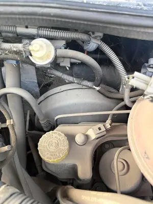 Foto de SERVOFRENO SEAT CORDOBA BERLINA (6K2)