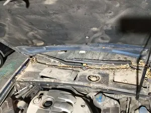 Foto de TORPEDO AUDI A4 BERLINA (8E)