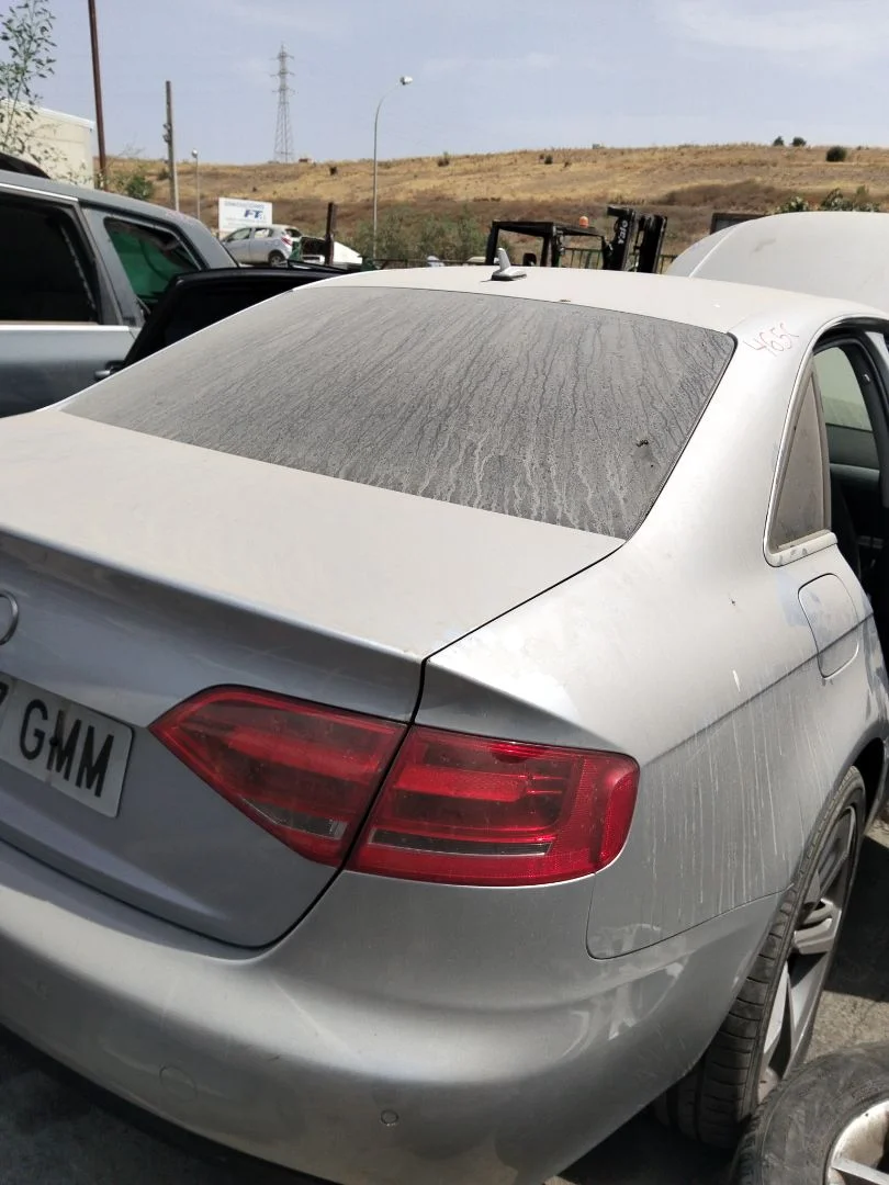 Foto de GUARNECIDO PORTON TRASERO AUDI A4 BERLINA (8K2) 2.0 16V TDI (143 CV / 105 KW)