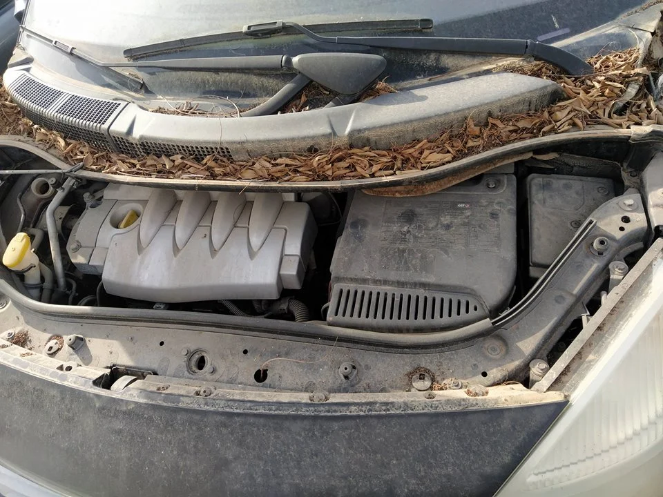 Foto de CAJA RELES / FUSIBLES RENAULT SCENIC II 1.6 16V (113 CV / 83 KW)