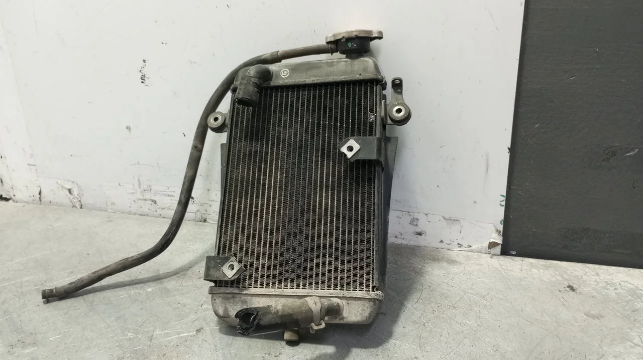 Foto de RADIADOR AGUA HONDA SH 300I 279 cm3 - 20 kW (27 CV / 20 KW) referencia 19010KTWA61