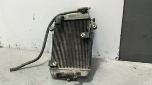 Foto de RADIADOR AGUA HONDA SH 300I 279 cm3 - 20 kW (27 CV / 20 KW) referencia 19010KTWA61