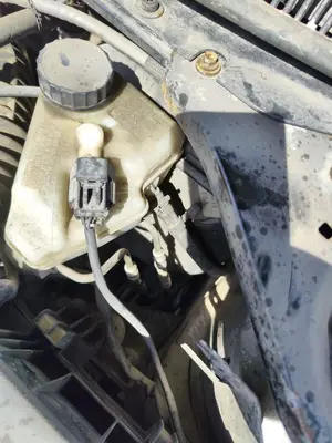 Foto de SERVOFRENO FORD MONDEO BERLINA (GE) 2.0 CAT (146 CV / 107 KW) referencia 1369543