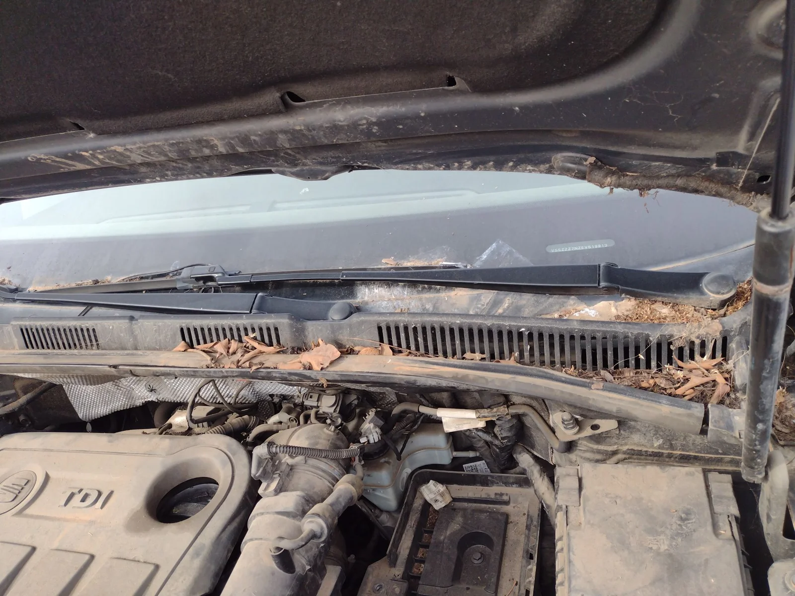 Foto de BRAZO LIMPIA DELANTERO DERECHO SEAT ALHAMBRA (710) 2.0 TDI (140 CV / 103 KW)