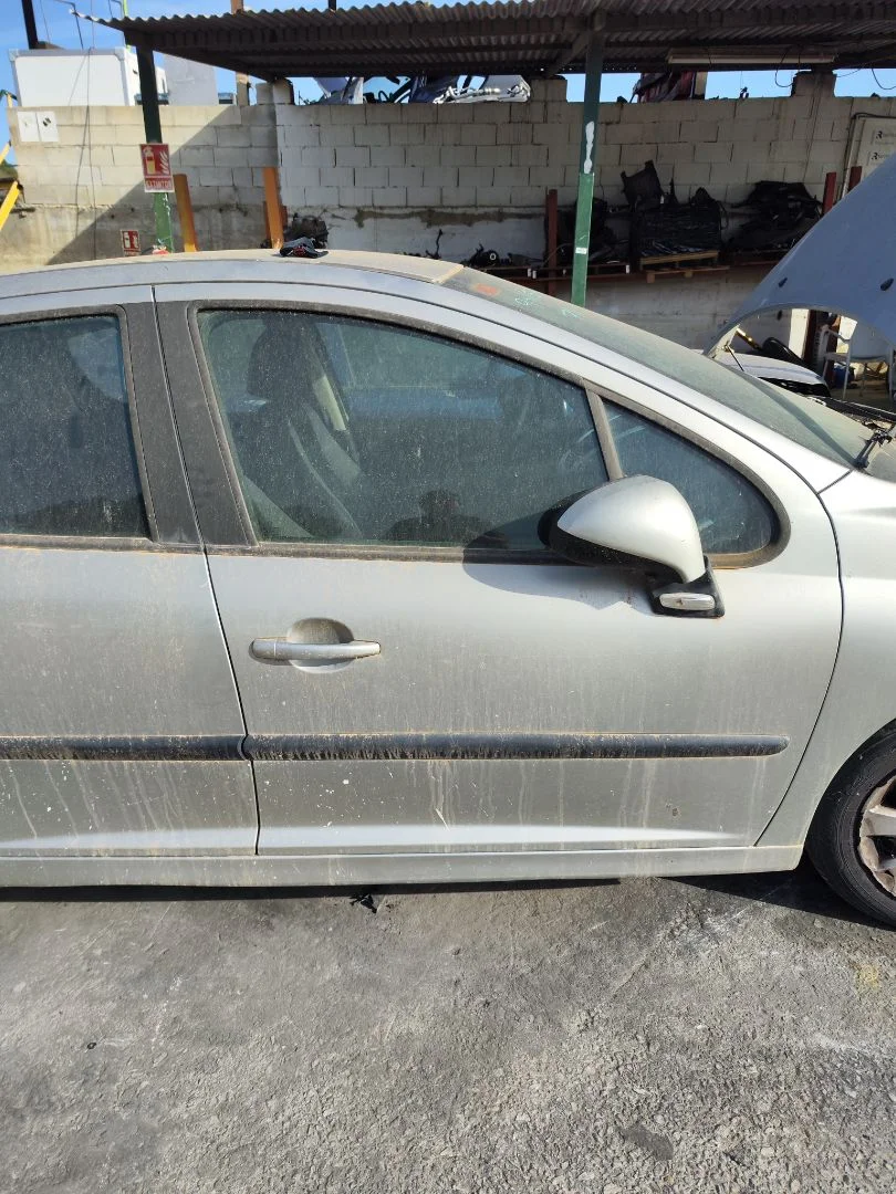 Foto de PUERTA DELANTERA DERECHA PEUGEOT 207 1.4 HDi (68 CV / 50 KW) referencia 9004X8