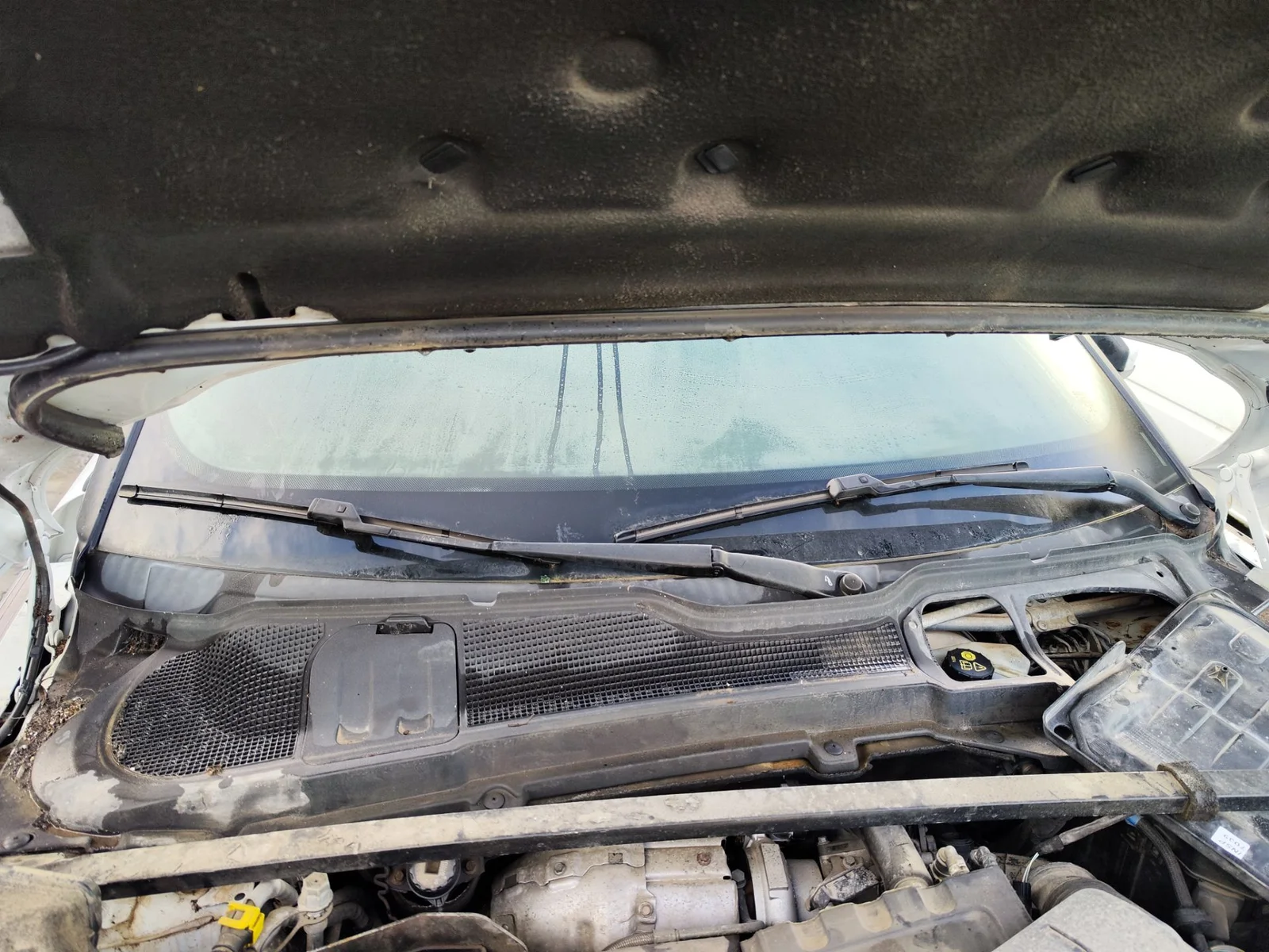 Foto de ARTICULACION LIMPIA DELANTERA LAND ROVER RANGE ROVER EVOQUE 2.0 Td4 CAT (150 CV / 110 KW)
