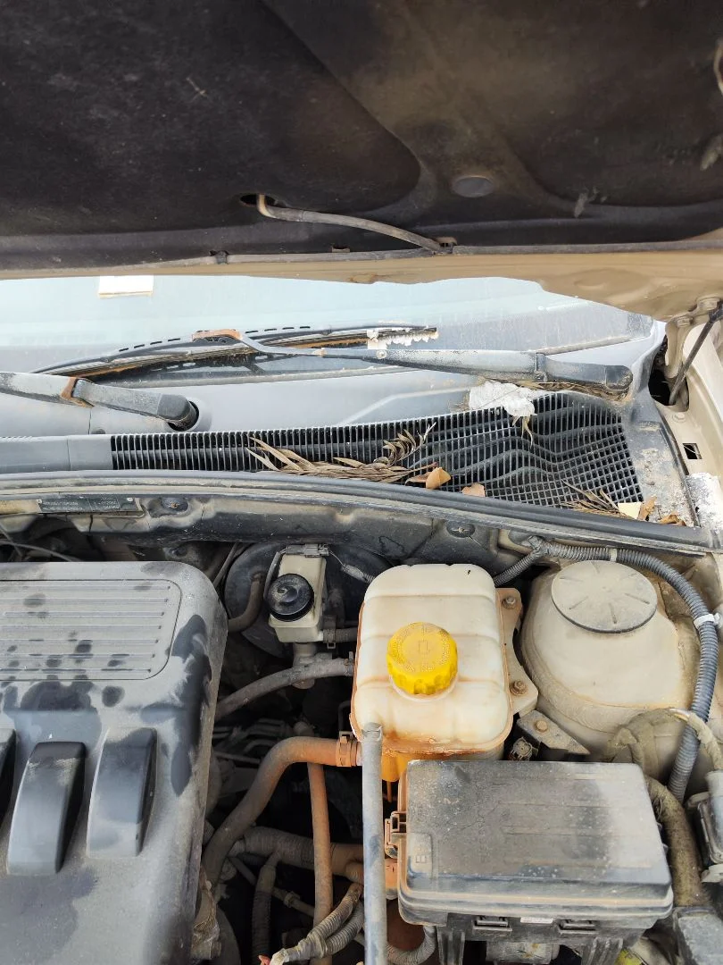 Foto de BRAZO LIMPIA DELANTERO IZQUIERDO CHEVROLET LACETTI 1.6 CAT (109 CV / 80 KW) referencia 95211018